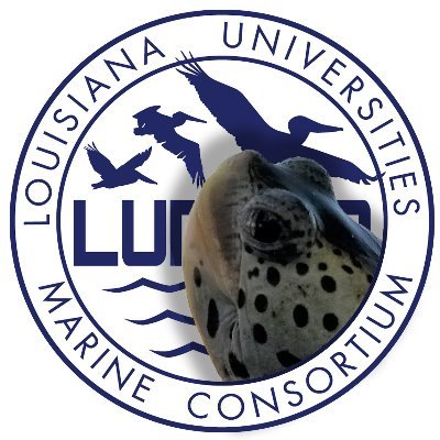 The Louisiana Universities Marine Consortium, the heart of Louisiana marine science. Ships, science, and salt marshes.