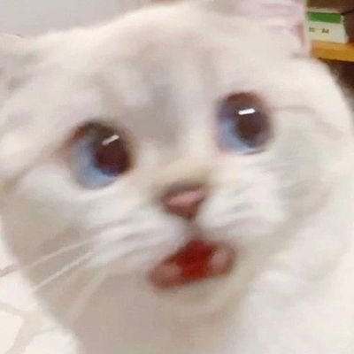 cherry_ow Profile Picture