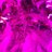 THC_Cures's avatar