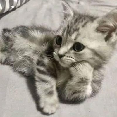 “Menikahi yg dicintai itu impian, mencintai yg dinikahi itu kewajipan”