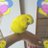 ももあみい🐤💞のアイコン