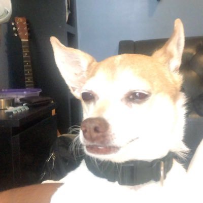 abhinavsehgal55's profile picture. If you are female 👉🏼 @kwame_armah