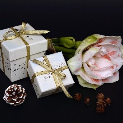 #cadeaukaarten #cadeaukaart bol #cadeaukaart #intratuin #cadeaukaart vvv #cadeaukaart activeren
#cadeaukaarten ah #cadeaukaart bijenkorf
#cadeaukaart primera