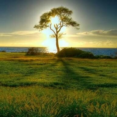 I will show you natural beauty follow me to see natural beauty videos and pictures I love nature I am nature lover follow me to see nature and natural beauty