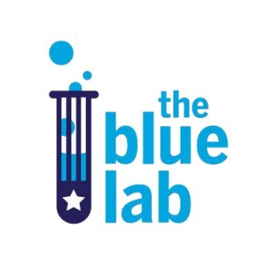 The Blue Lab