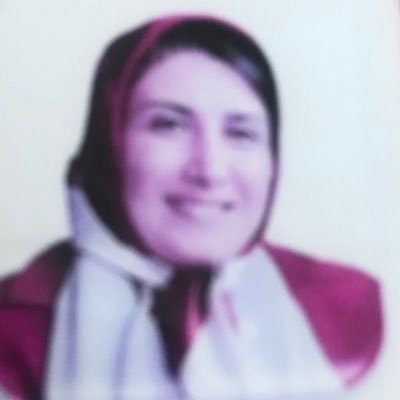 ArezoEsh's profile picture. 