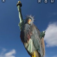BirdsForLiberty (@birdsforliberty) 's Twitter Profile