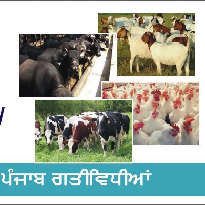 Animal Husbandry Department, Punjab (@HusbandryPunjab) / Twitter Animal Husbandry Department, Punjab (@HusbandryPunjab) / Twitter
