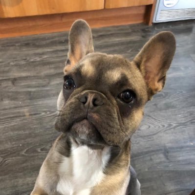 sells_lee's profile picture. 