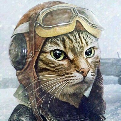 nemo11857434's profile picture. 