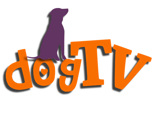 dogTV promotes responsible pet ownership & gives essential information to its viewers; enabling them to make informed choices in the care of their pets.