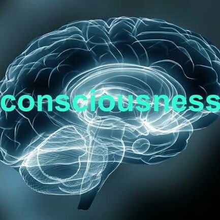 Neuroscientist studying sleep and generally brain metabolism.