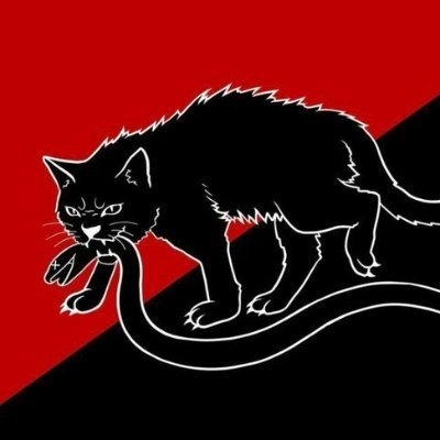 Programador. Pseudo-Psicópata, estudiador rítmico-sonoro, de trazos, doblador de yerros, #wingchunero, amador de los animales, #bloodbowlero.