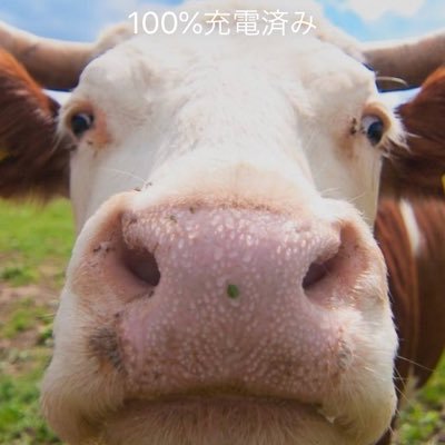 9fy2OcqqbSd9wDI's profile picture. 優勝するまでの記録です。