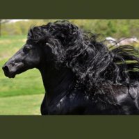 ريم بنت خالد (@reemkhalid_h) 's Twitter Profile