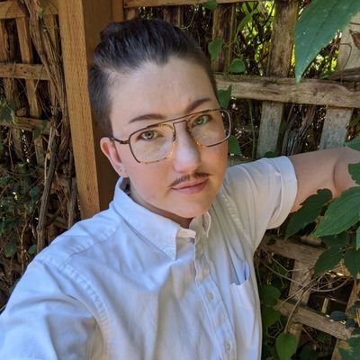 HorseArchivist's profile picture. he/they | 32 | hireable violinist | chronically ill | FatT fan | streaming: @rudedetectives | podcast: @shadowfactspod | https://t.co/FUUtqslRAv