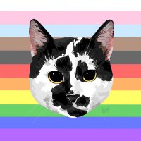 cookie the cat(@cookietimeultra) 's Twitter Profile Photo