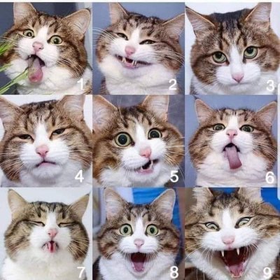 mhammy59's profile picture. love God, my family and the great outdoors. #USA