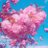 asyu_etoile1105