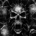 Andy (@andy54114847) Twitter profile photo Andy (@andy54114847) Twitter profile photo