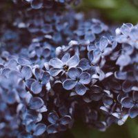 Sa. (@sal7a22) Twitter profile photo