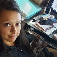 CyberHive Security (@cyberhivesec) 's Twitter Profile