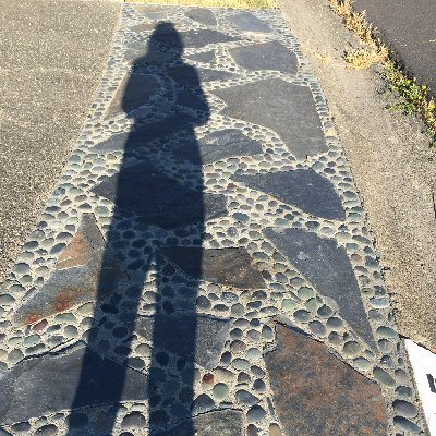 lsaltveit's profile picture. Empowering others with @IndivisibleTeam. Along the way listening and advocating for equity.