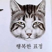 중벨보는계정さんのプロフィール画像