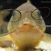 SmartFish 🐟 (@peixeixperto) Twitter profile photo SmartFish 🐟 (@peixeixperto) Twitter profile photo