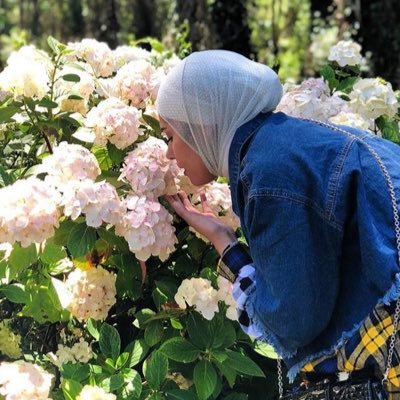 Maryom_Almayouf's profile picture. Teacher 👩🏻📝