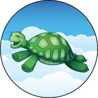 Guild of the Flying Tortoise(@guild_flying) 's Twitter Profile Photo