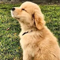 christy padilla (@christy1padilla) 's Twitter Profile