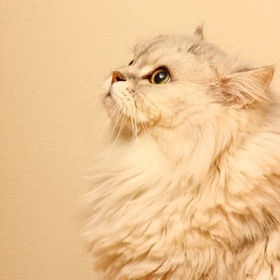 Haruphotog's profile picture. 牛原陽一（父）や牛原虚彦（祖父）の監督作品、三村千代子（祖母）の出演作品の情報を発信中。https://t.co/O8Xqdizrkg