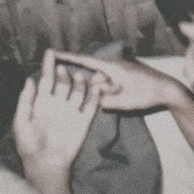 XXfoglight11's profile picture. 今晚月色很美 (风也温柔)