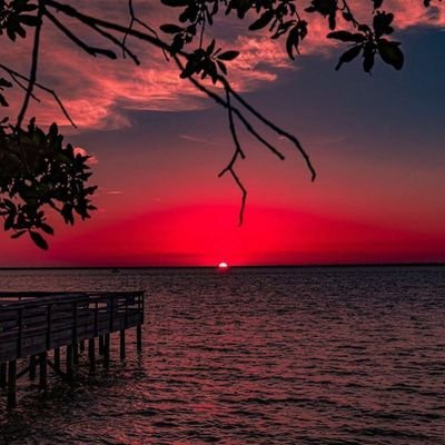 jobillykid's profile picture. 