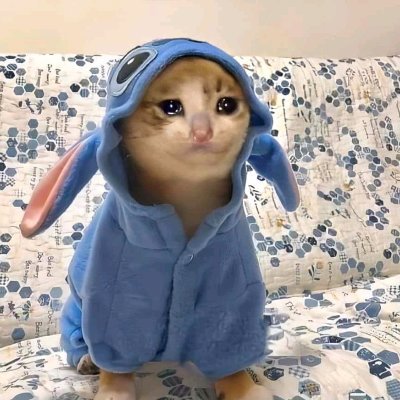 ميمز الأول عالمياً لتوزيع الميمز علي تويتر
فولو ويوصلك كل جديد.
لو عاوز دعم فعل الجرس 🔔