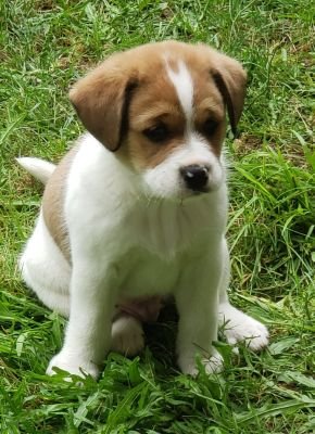 margaret_d_mcka's profile picture. 