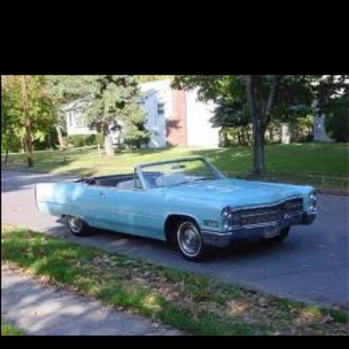 darwinthomas's profile picture. 