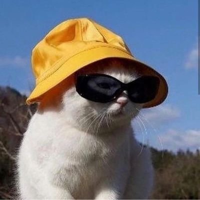 sofmorhe's profile picture. 