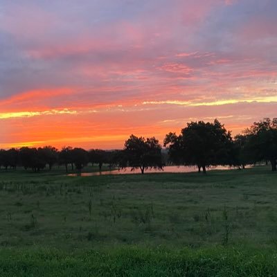 Christian. Husband to my soul mate. Father to 3 of Gods greatest gifts. God allows me to watch grass and other non-edibles turn into beef!! Stocker, cow/calf