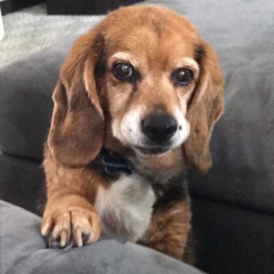 katelynclare11's profile picture. 