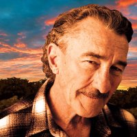 Fee Waybill (@thefeewaybill) 's Twitter Profile