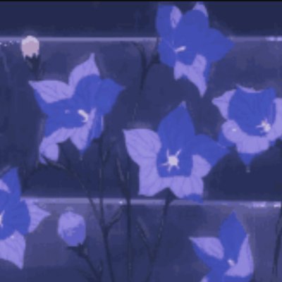 lxvily1's profile picture. 