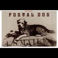 Save the Post Office (@uspostoffice911) 's Twitter Profile