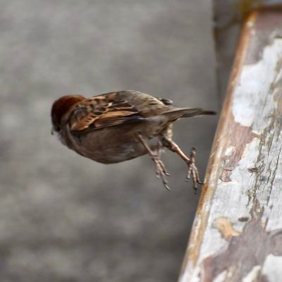 imsosorry_y's profile picture. Здесь я просто ору. Если вам интереснее, что-то более вразумительное, вам туда - @rogotch