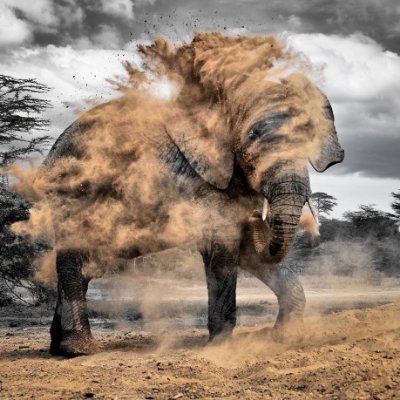 CurtisKiiti's profile picture. Doing.