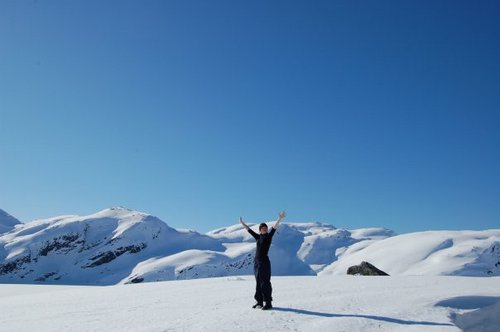 eidset's profile picture. Bibliotekar ved @KongBiblio