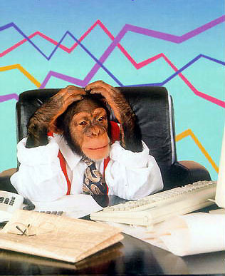 emmo1310's profile picture. 