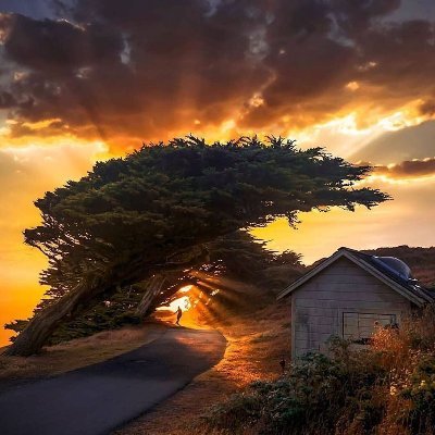 dohungthinhtin's profile picture. 