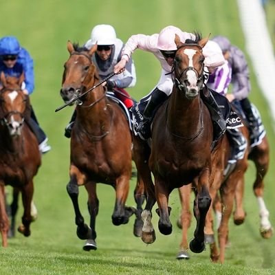 I provide well researched betting tips on horse racing, football and NBA basketball.
Facebook @thetipguy for full write ups
Instagram @thetipguyuk